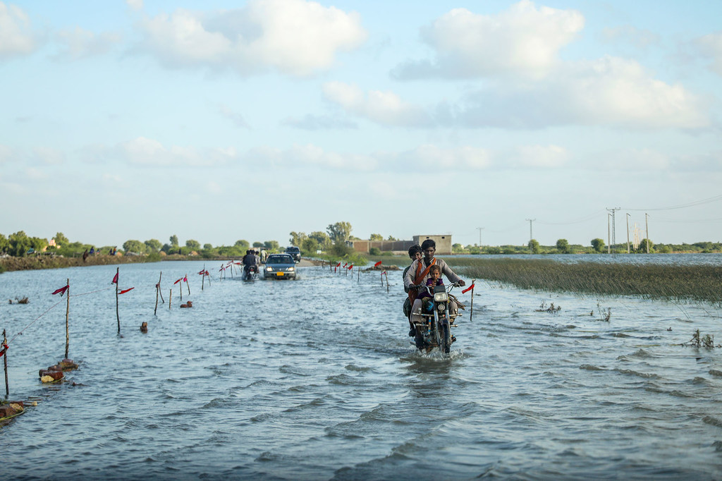 مياه الفيضانات في منطقة أوميركوت، مقاطعة السند، باكستان.